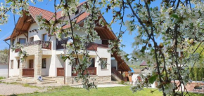Гостиница Zestrea Bunicilor  Bodești